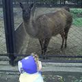 Фото - Детский зоопарк города Омска