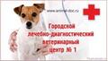 Городской Лечебно-Диагностический Ветеринарный Центр №1 